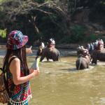 Tourism in Rwanda